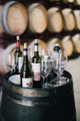 Visit and tasting at Feudi di San Gregorio