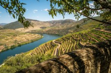 Douro and Port Wine Tour TT in 1964 Land Rover for Two