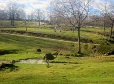 Zoom Biopark tickets