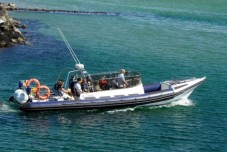 Dingle Sea Safari Rib Ride