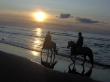 Countryside Horse Riding Trek in Conwy