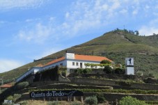 Douro and Port Wine Tour TT in 1964 Land Rover for Two