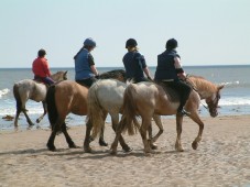 Original Andalusian Horses Show