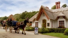 Killarney Lake Tour and Jaunting Car Ride