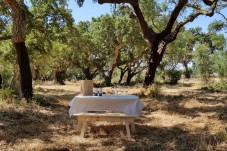 Dégustation de vins, visite de la cave et safari à Alentejo pour 2