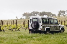Dégustation de vins, visite de la cave et safari à Alentejo pour 2