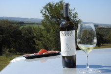 Dégustation de vins, visite de la cave et safari à Alentejo pour 2