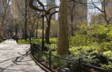 Central Park Guided Bike Tour