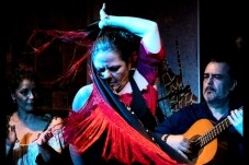 Come and see a unique Flamenco venue show!