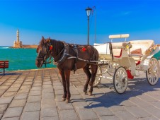 Passeio de Charrete a Cavalo para Casamento