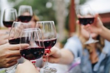 Piedmont Wine Experience in Gattinara