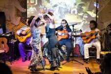 Come and see a unique Flamenco venue show!