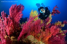 Corso Subacqueo Sicilia - Open Water Diver