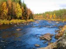 White water rafting for four in Lapland