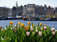 Keukenhof and Zaanse Schans Day-Tour from Amsterdam