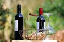 Visita a Viñedos y Cata de Vino en Siena