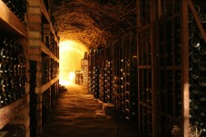 Visita a Viñedos y Cata de Vino en Siena
