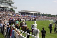 Enjoy a Day at the Races