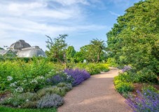Kew Gardens Admission Ticket for Two