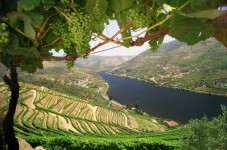 Escapade en bateau sur le Douro - Enfants 2 à 10 ans