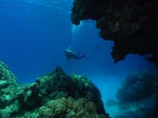 Sea Diving Experience in Lisbon