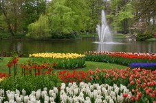 Keukenhof and Flower Fields Guided Tour from Rotterdam