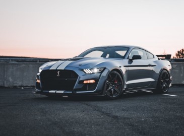Classic American Muscle Experience