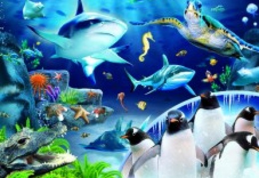 Visit London Aquarium
