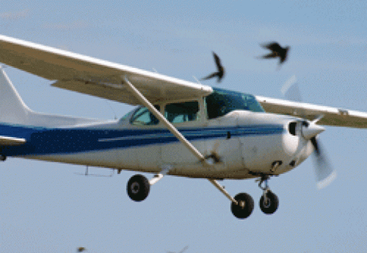 Flying Lessons UK
